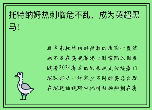 托特纳姆热刺临危不乱，成为英超黑马！