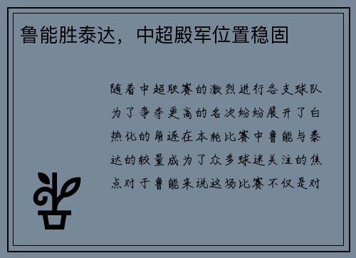 鲁能胜泰达，中超殿军位置稳固