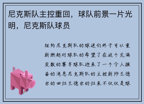 尼克斯队主控重回，球队前景一片光明，尼克斯队球员